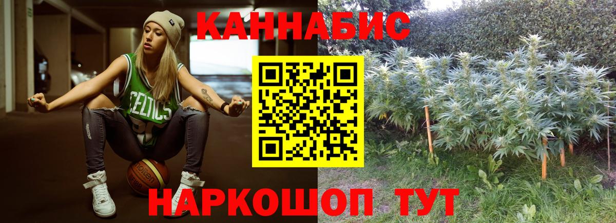 Сыктывкар  Бошки марихуана тримм  Конопля OG Kush  Вход с VPN  Шишки марихуана White Widow 